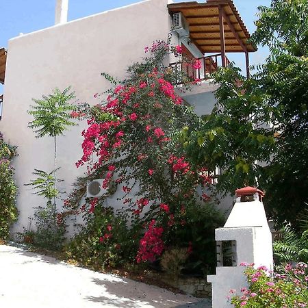 123 Soleil Studios Agia Marina  Esterno foto