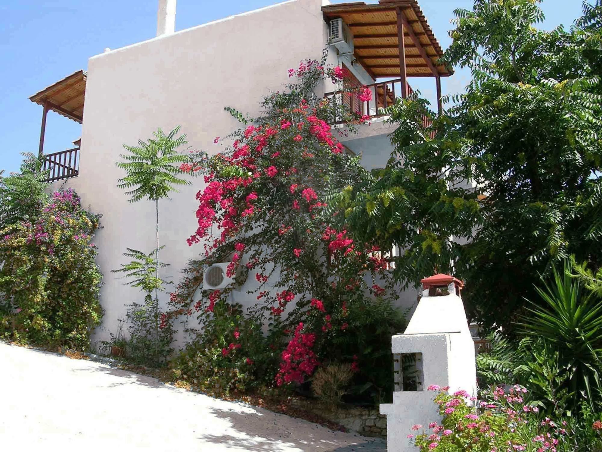 123 Soleil Studios Agia Marina  Esterno foto